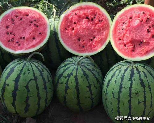 免费吃瓜的网站,畅享娱乐盛宴的秘密通道  第2张