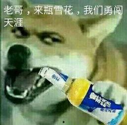 大哥爆料啤酒制作视频大全,大哥爆料视频大全全解析