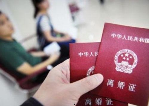 深圳离婚最新爆料排队,最新爆料揭示排队离婚背后的社会现象  第2张